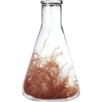 BIO-RESTORER