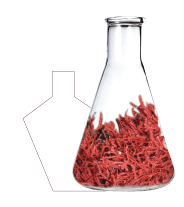 BIO-EXTENDER®